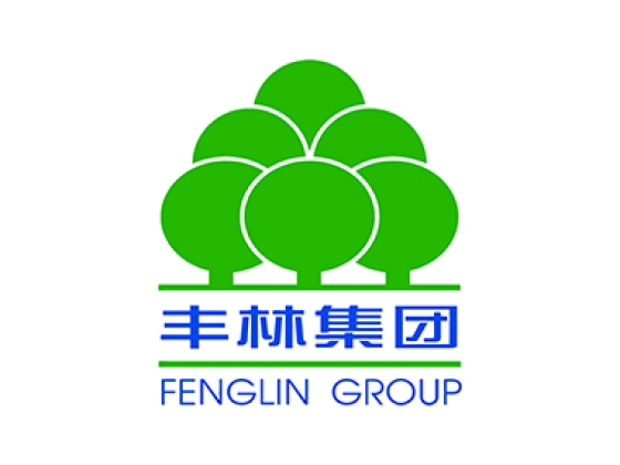 丰林集团