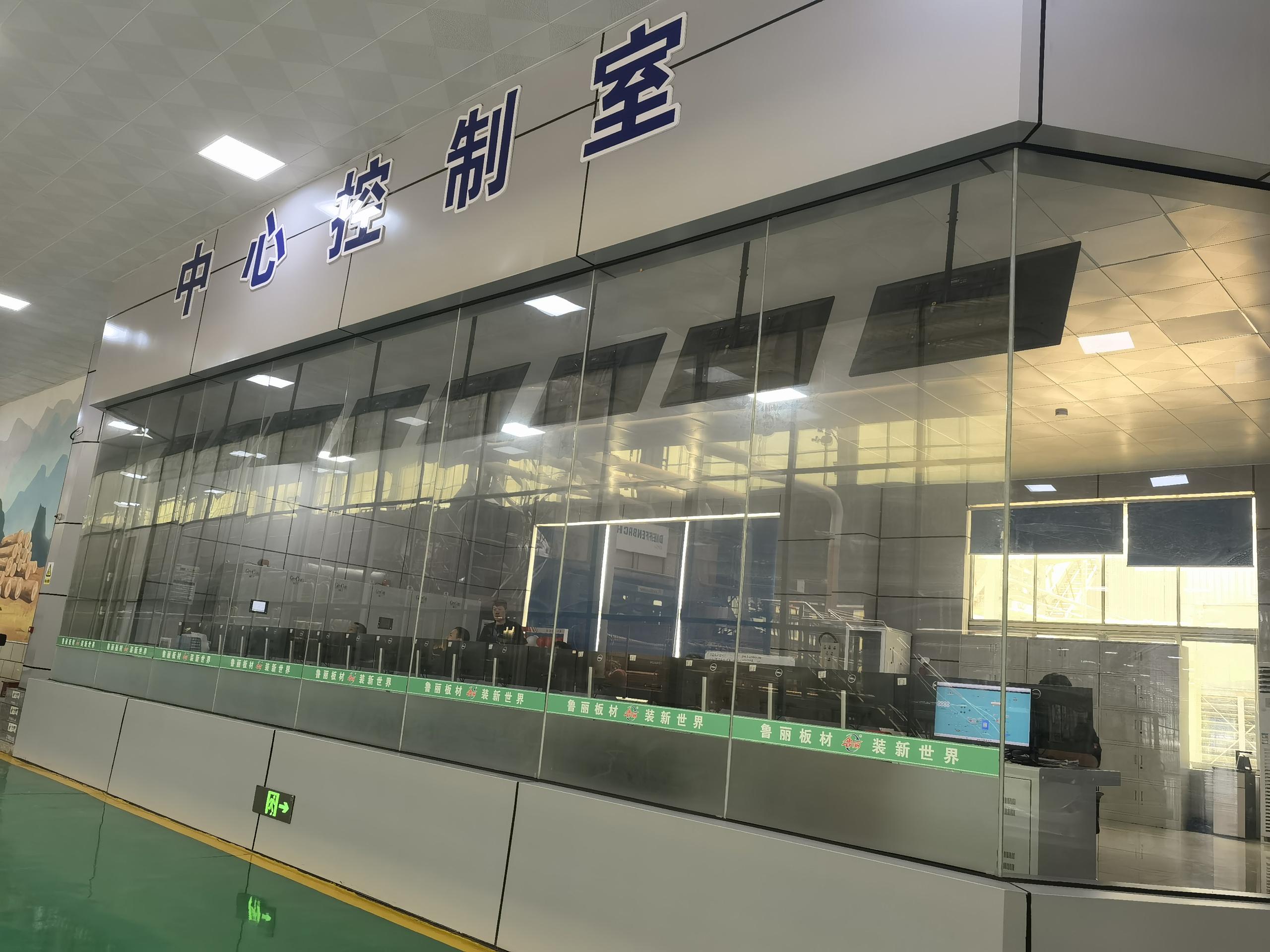 湖南鲁丽.jpg